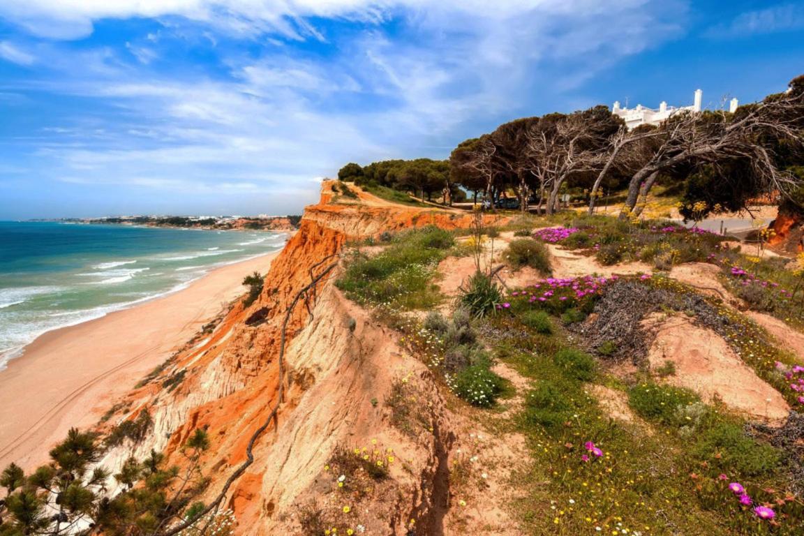 Apartment Apartamento Rua Do Lago 88 Albufeira